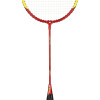 Zestaw rakiet do badmintona AlumTec 329K, Wish