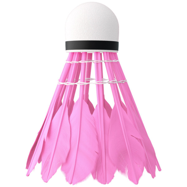 Lotki z pióra multicolor Nils NBL6213, 3szt