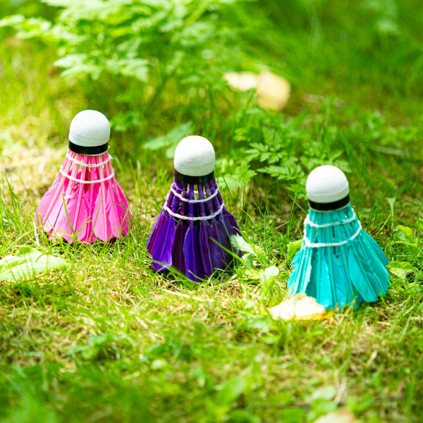 Lotki z pióra multicolor Nils NBL6213, 3szt