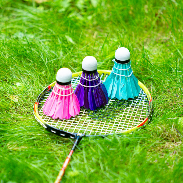 Lotki z pióra multicolor Nils NBL6213, 3szt