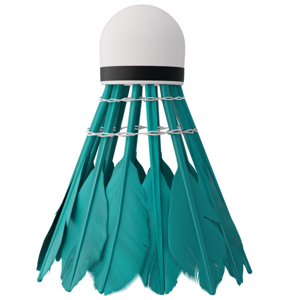 Lotki z pióra Multicolor Nils NBL6216, 6szt