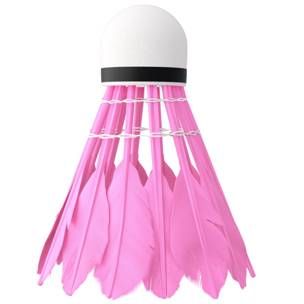 Lotki z pióra Multicolor Nils NBL6216, 6szt