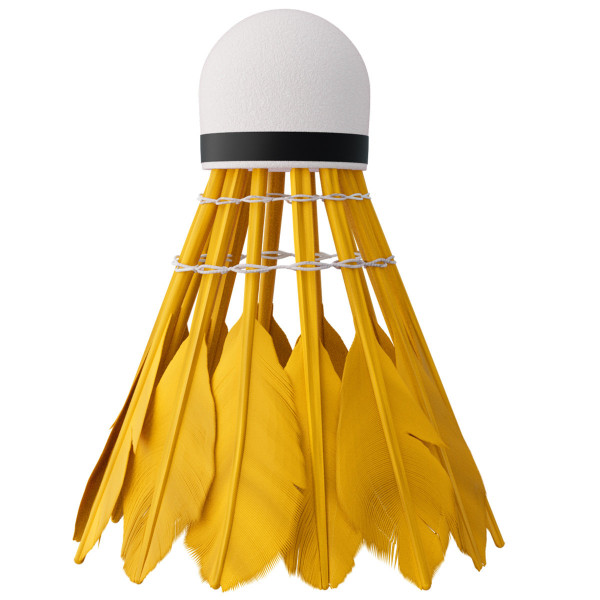 Lotki z pióra Multicolor Nils NBL6216, 6szt