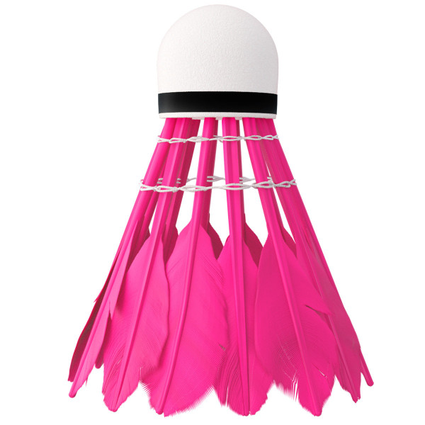 Lotki z pióra Multicolor Nils NBL6216, 6szt