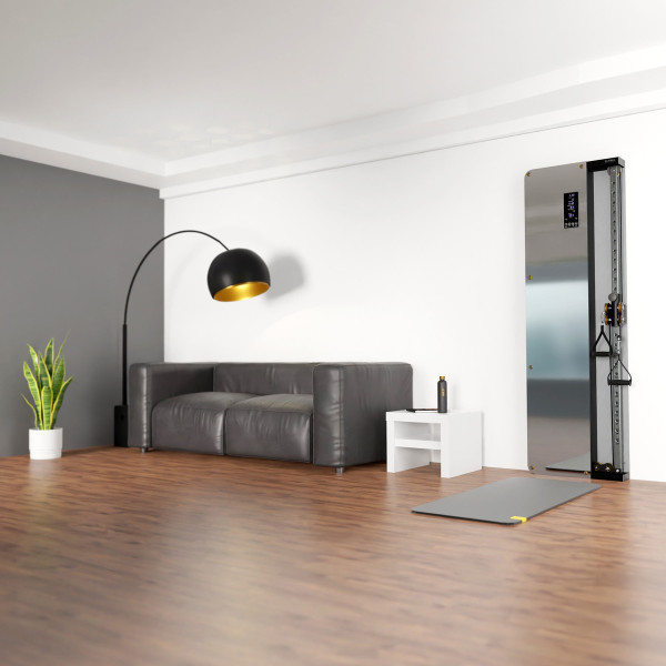 Brama przyścienna treningowa pneumatyczna HMS BSP301, Commercial