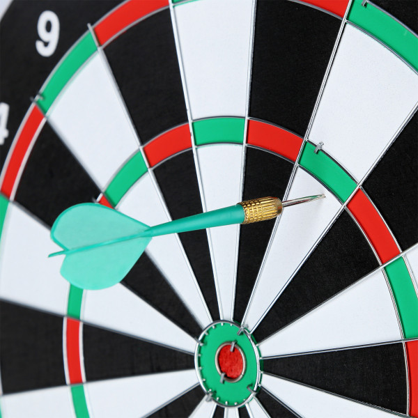 2 w 1 Dart Nils Fun TDN05