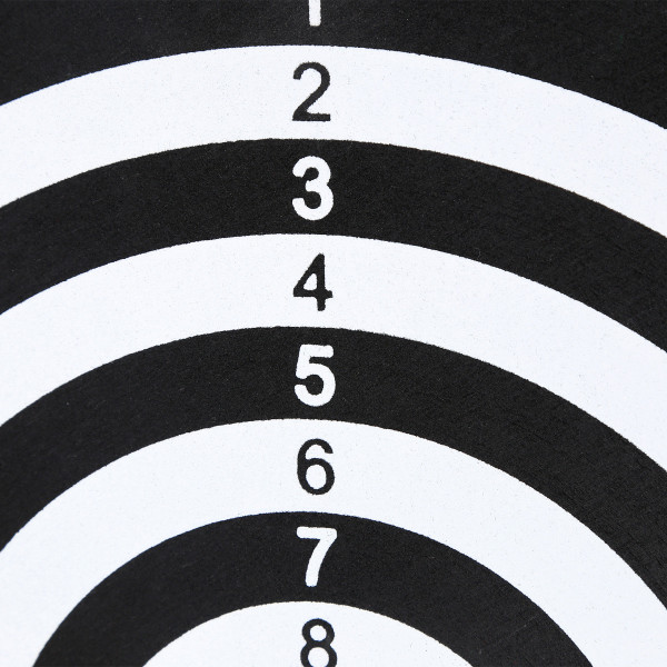 2 w 1 Dart Nils Fun TDN05