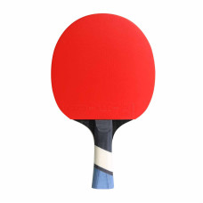 Rakietka perform 500 indoor Cornilleau