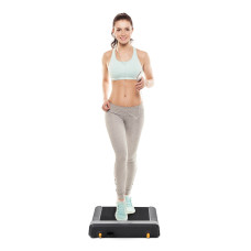 Bieżnia do chodzenia Flow Fitness DTM100i