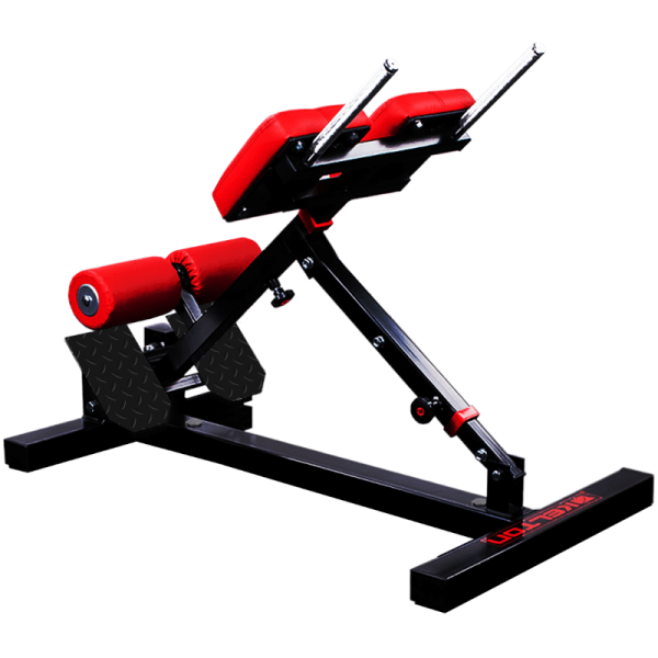 Maszyna na prostowniki grzbietu PM16