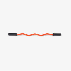 Gryf Nike Curl Bar 10 kg, Nike