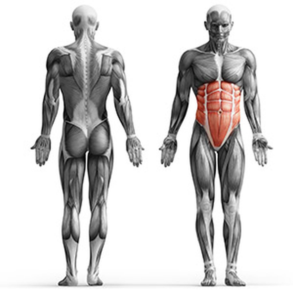 Ławka na brzuch MS-L110 - Marbo Sport