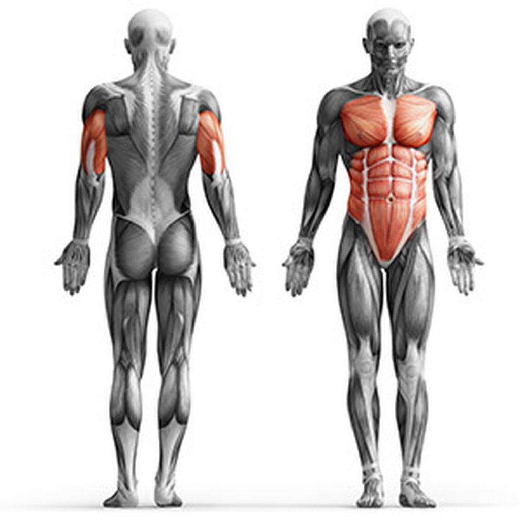 Poręcz stacjonarna na brzuch - Marbo Sport