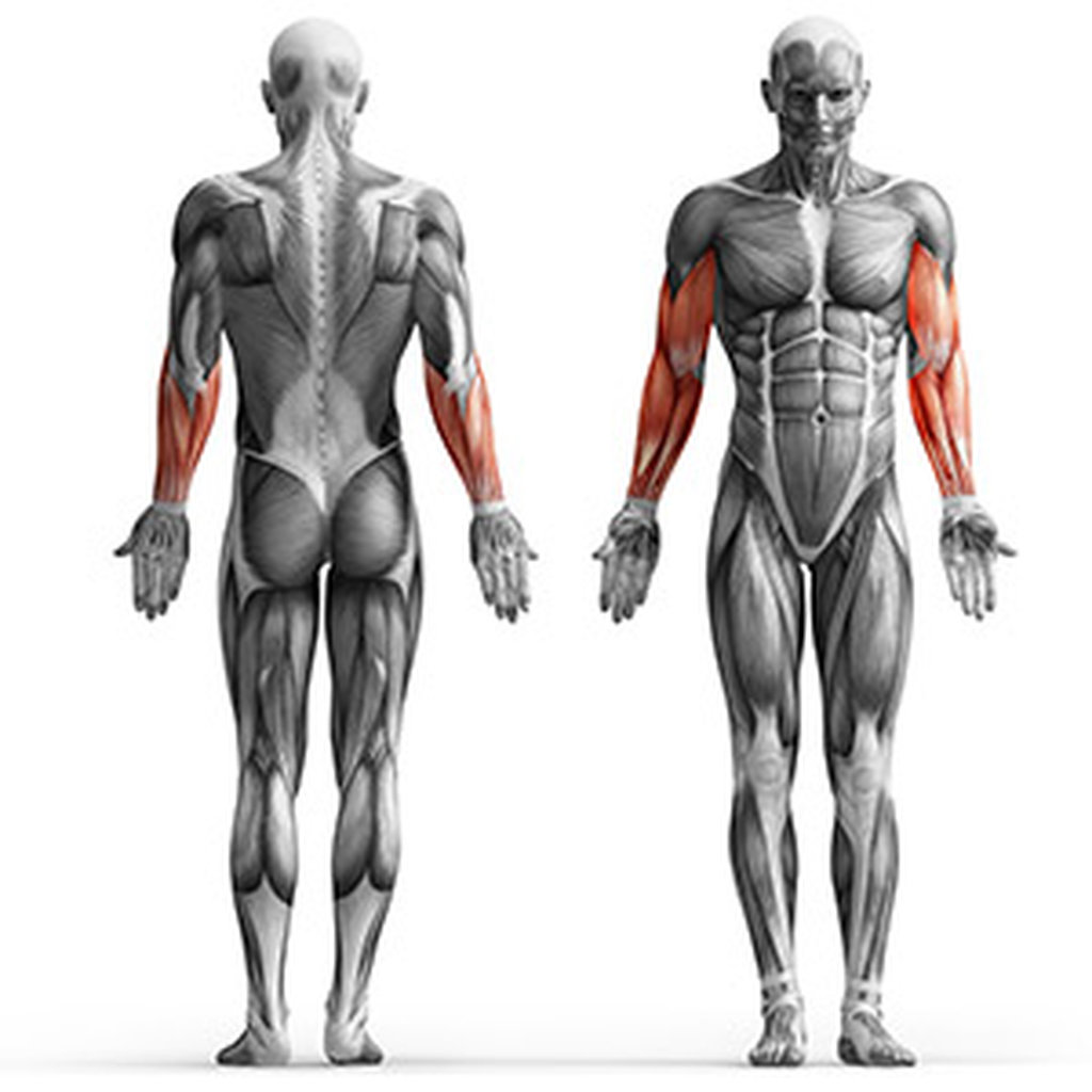 Ławka Scotta (modlitewnik) MH-L105 - Marbo Sport