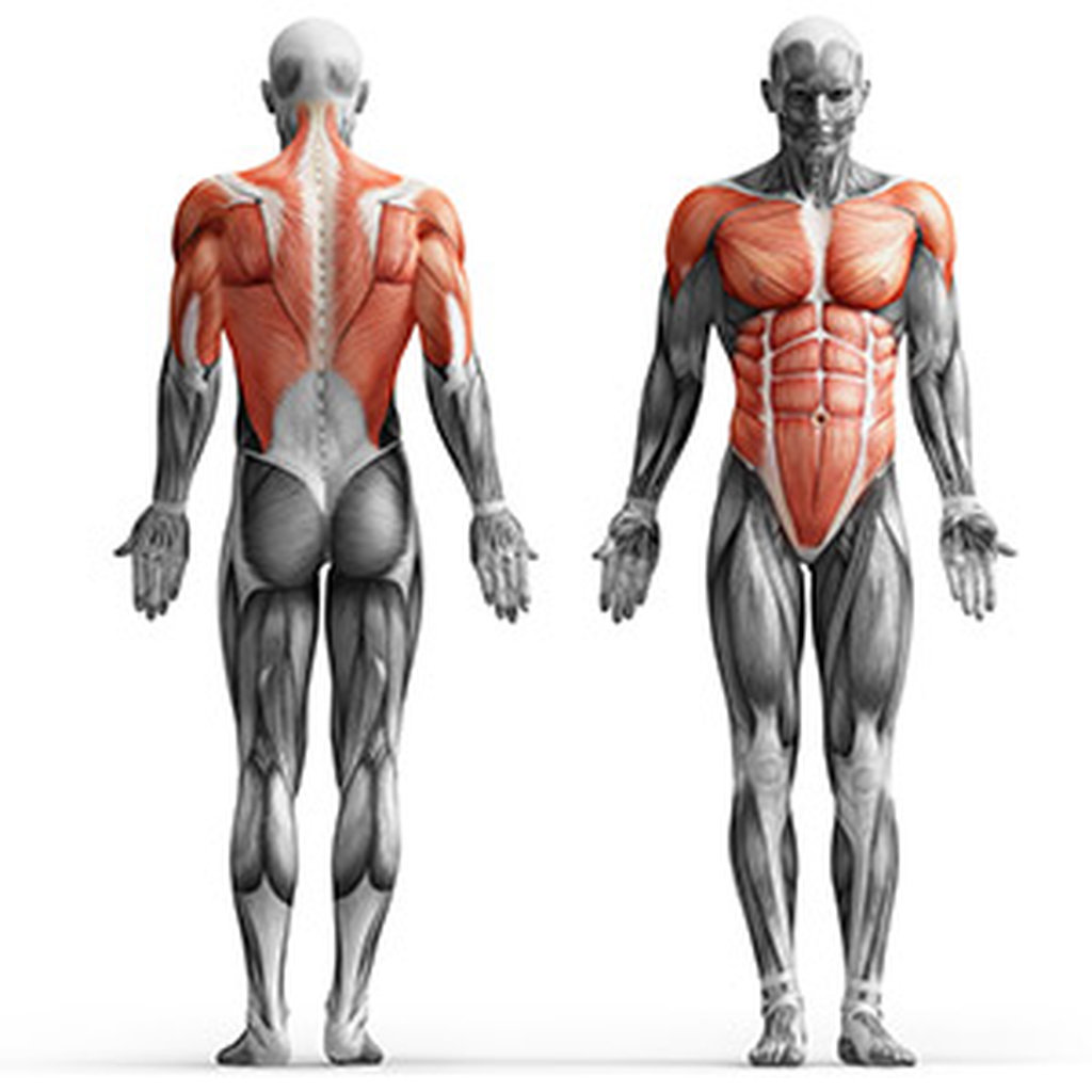 Poręcz stacjonarna z drążkiem MH-U102 - Marbo Sport