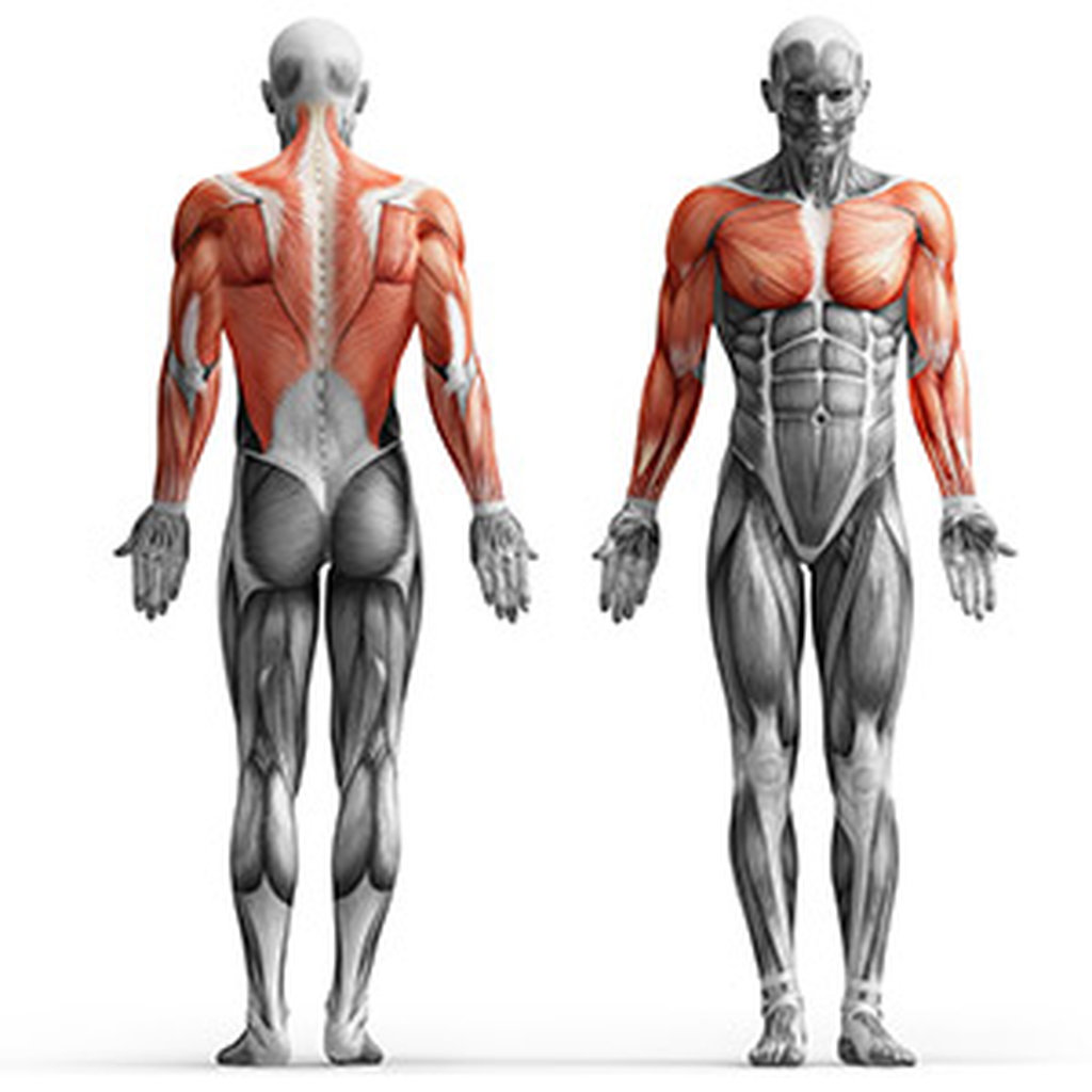 Wieża 6-stanowiskowa MIDI - Marbo Sport